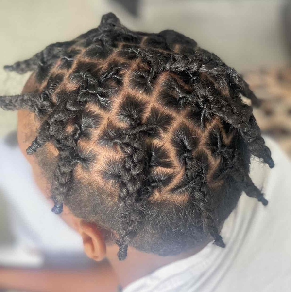 salon de coiffure afro tresse tresses box braids crochet braids vanilles tissages paris 75 77 78 91 92 93 94 95 REFFZDBS