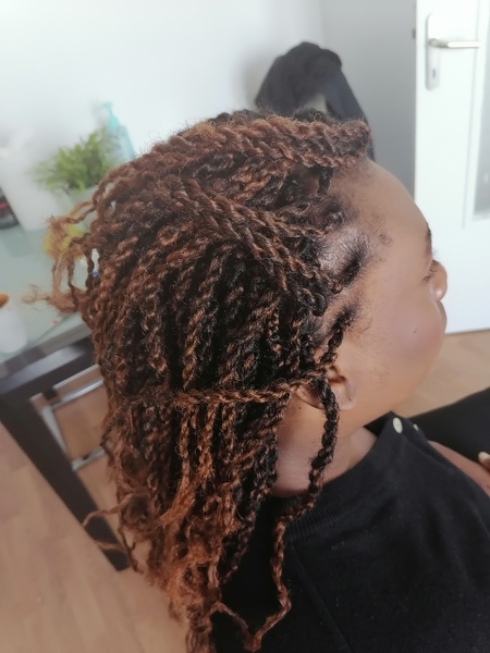 salon de coiffure afro tresse tresses box braids crochet braids vanilles tissages paris 75 77 78 91 92 93 94 95 IOYGGLOW