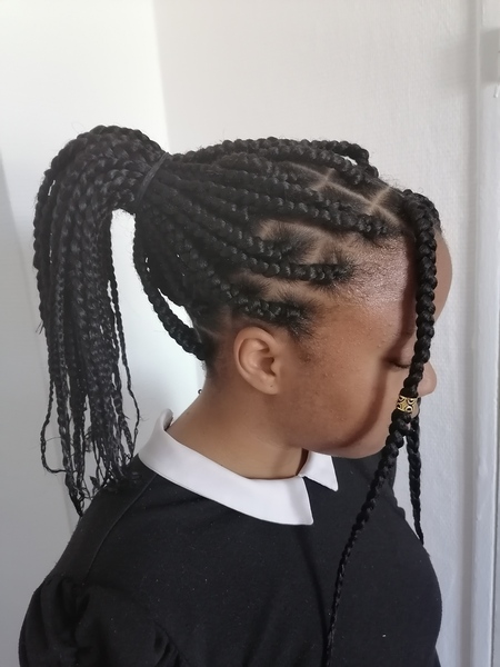 salon de coiffure afro tresse tresses box braids crochet braids vanilles tissages paris 75 77 78 91 92 93 94 95 UCAIZQQC
