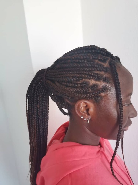 salon de coiffure afro tresse tresses box braids crochet braids vanilles tissages paris 75 77 78 91 92 93 94 95 ANYKKAZH