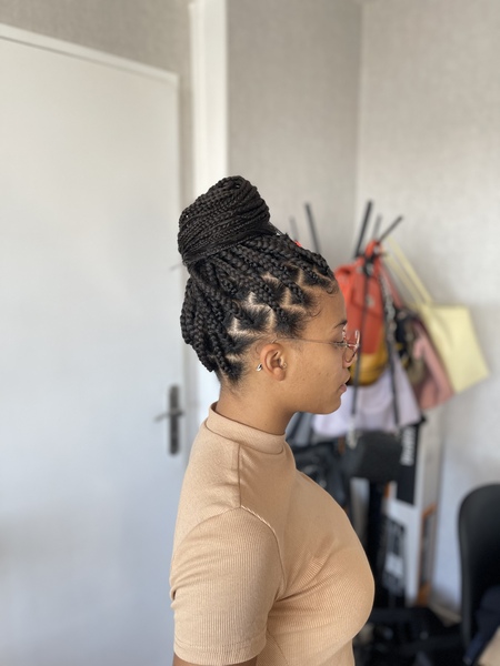 salon de coiffure afro tresse tresses box braids crochet braids vanilles tissages paris 75 77 78 91 92 93 94 95 DWIBNOZD