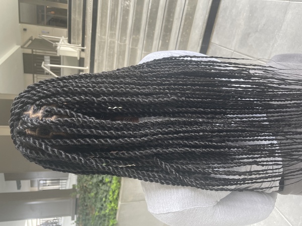 salon de coiffure afro tresse tresses box braids crochet braids vanilles tissages paris 75 77 78 91 92 93 94 95 CNLJOGAZ