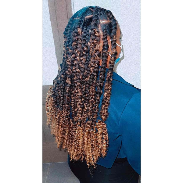 salon de coiffure afro tresse tresses box braids crochet braids vanilles tissages paris 75 77 78 91 92 93 94 95 ZWNWAWVJ