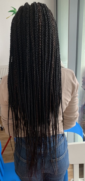 salon de coiffure afro tresse tresses box braids crochet braids vanilles tissages paris 75 77 78 91 92 93 94 95 FXLTVTIK