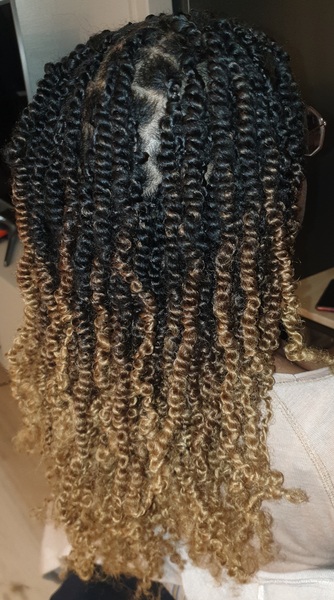 salon de coiffure afro tresse tresses box braids crochet braids vanilles tissages paris 75 77 78 91 92 93 94 95 AMZNCBGA