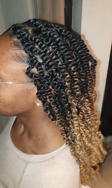 salon de coiffure afro tresse tresses box braids crochet braids vanilles tissages paris 75 77 78 91 92 93 94 95 DSPINUPI