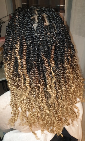 salon de coiffure afro tresse tresses box braids crochet braids vanilles tissages paris 75 77 78 91 92 93 94 95 IUIURYDT