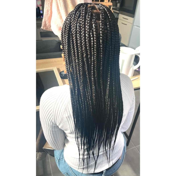 salon de coiffure afro tresse tresses box braids crochet braids vanilles tissages paris 75 77 78 91 92 93 94 95 IXZXDLIX