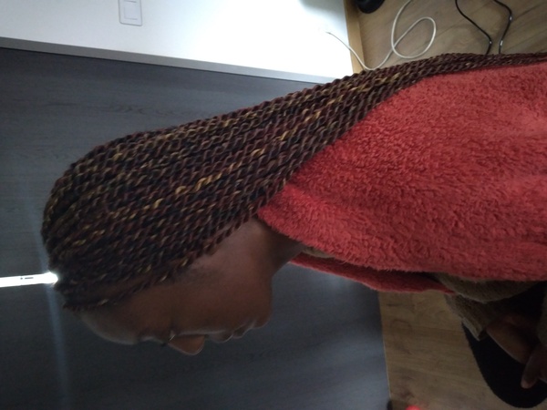 salon de coiffure afro tresse tresses box braids crochet braids vanilles tissages paris 75 77 78 91 92 93 94 95 XAPGWXEB