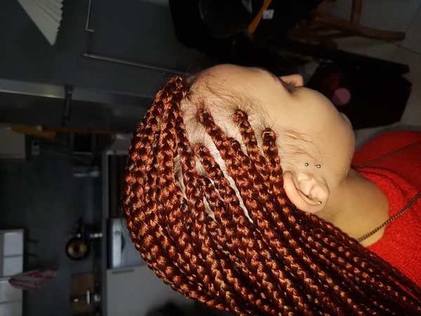salon de coiffure afro tresse tresses box braids crochet braids vanilles tissages paris 75 77 78 91 92 93 94 95 SGXXTRYG