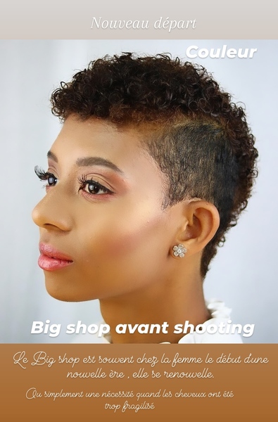 salon de coiffure afro tresse tresses box braids crochet braids vanilles tissages paris 75 77 78 91 92 93 94 95 HLESKTID