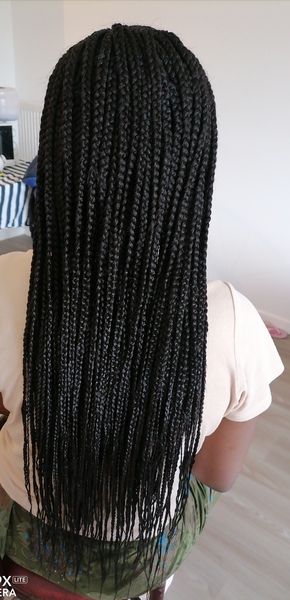 salon de coiffure afro tresse tresses box braids crochet braids vanilles tissages paris 75 77 78 91 92 93 94 95 KNTORUKB