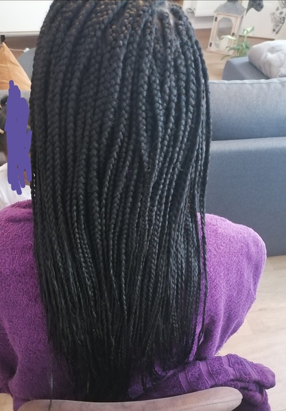 salon de coiffure afro tresse tresses box braids crochet braids vanilles tissages paris 75 77 78 91 92 93 94 95 EUERFWGW