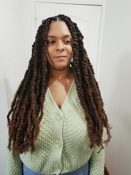 salon de coiffure afro tresse tresses box braids crochet braids vanilles tissages paris 75 77 78 91 92 93 94 95 ELJEJGKN