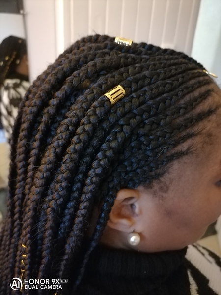 salon de coiffure afro tresse tresses box braids crochet braids vanilles tissages paris 75 77 78 91 92 93 94 95 DLFJGDIH