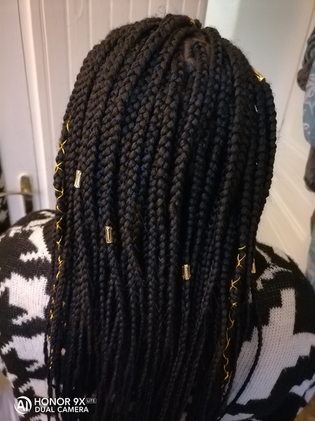 salon de coiffure afro tresse tresses box braids crochet braids vanilles tissages paris 75 77 78 91 92 93 94 95 GAEYNPSO