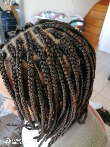 salon de coiffure afro tresse tresses box braids crochet braids vanilles tissages paris 75 77 78 91 92 93 94 95 PIVTWERJ