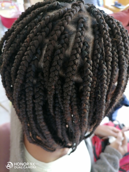 salon de coiffure afro tresse tresses box braids crochet braids vanilles tissages paris 75 77 78 91 92 93 94 95 LTBCSROH