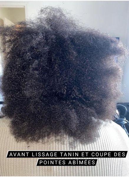 salon de coiffure afro tresse tresses box braids crochet braids vanilles tissages paris 75 77 78 91 92 93 94 95 DTDNGESA