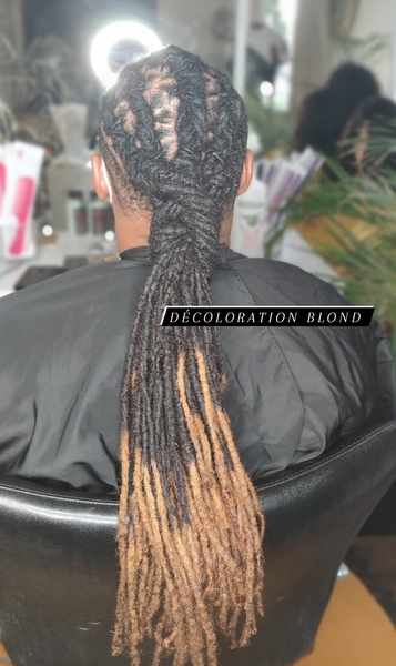 salon de coiffure afro tresse tresses box braids crochet braids vanilles tissages paris 75 77 78 91 92 93 94 95 FWLASPOV