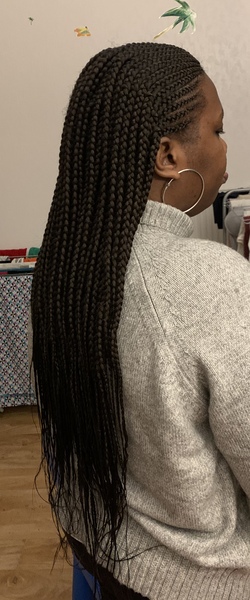 salon de coiffure afro tresse tresses box braids crochet braids vanilles tissages paris 75 77 78 91 92 93 94 95 WGJYGLHH