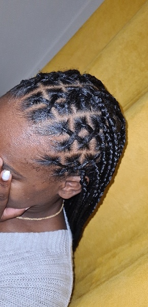 salon de coiffure afro tresse tresses box braids crochet braids vanilles tissages paris 75 77 78 91 92 93 94 95 DDAGNBTR