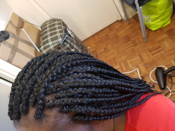 salon de coiffure afro tresse tresses box braids crochet braids vanilles tissages paris 75 77 78 91 92 93 94 95 WLBIVQLY