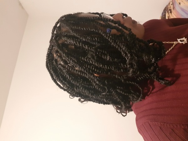 salon de coiffure afro tresse tresses box braids crochet braids vanilles tissages paris 75 77 78 91 92 93 94 95 MJWDPLLO