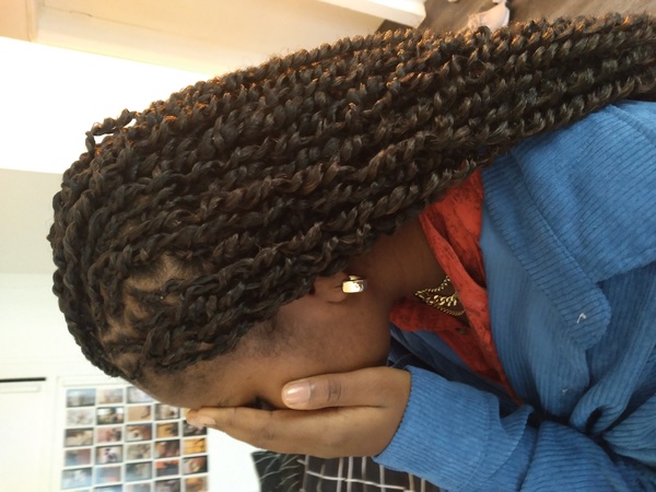 salon de coiffure afro tresse tresses box braids crochet braids vanilles tissages paris 75 77 78 91 92 93 94 95 CWXHBLZT