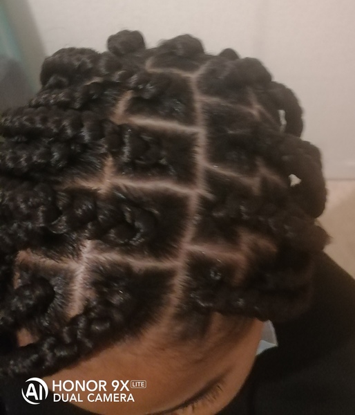 salon de coiffure afro tresse tresses box braids crochet braids vanilles tissages paris 75 77 78 91 92 93 94 95 WXERYQYZ