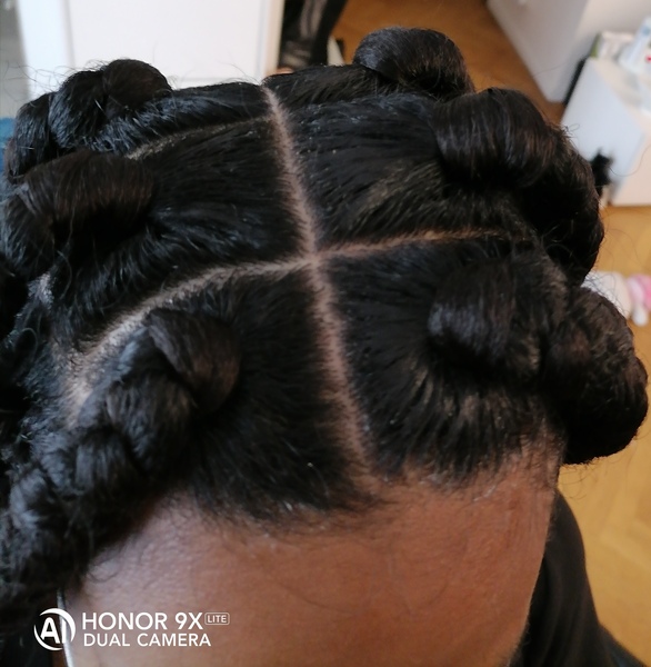 salon de coiffure afro tresse tresses box braids crochet braids vanilles tissages paris 75 77 78 91 92 93 94 95 EWVWJEZC