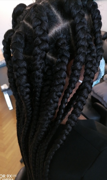 salon de coiffure afro tresse tresses box braids crochet braids vanilles tissages paris 75 77 78 91 92 93 94 95 EMVDSODM