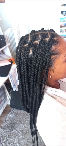 salon de coiffure afro tresse tresses box braids crochet braids vanilles tissages paris 75 77 78 91 92 93 94 95 SRORXYRX