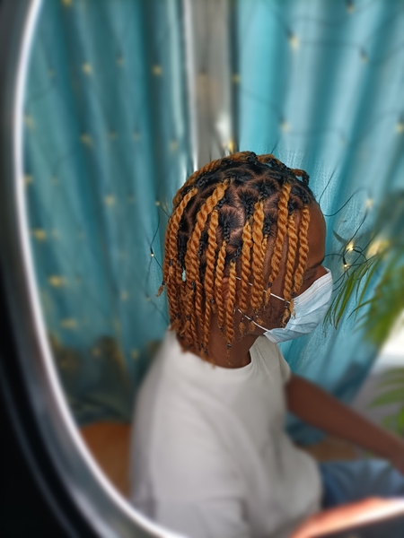 salon de coiffure afro tresse tresses box braids crochet braids vanilles tissages paris 75 77 78 91 92 93 94 95 MUXPLIXI
