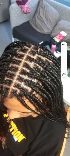 salon de coiffure afro tresse tresses box braids crochet braids vanilles tissages paris 75 77 78 91 92 93 94 95 NGDFMLII