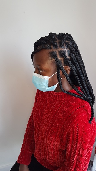salon de coiffure afro tresse tresses box braids crochet braids vanilles tissages paris 75 77 78 91 92 93 94 95 DMXXGERX