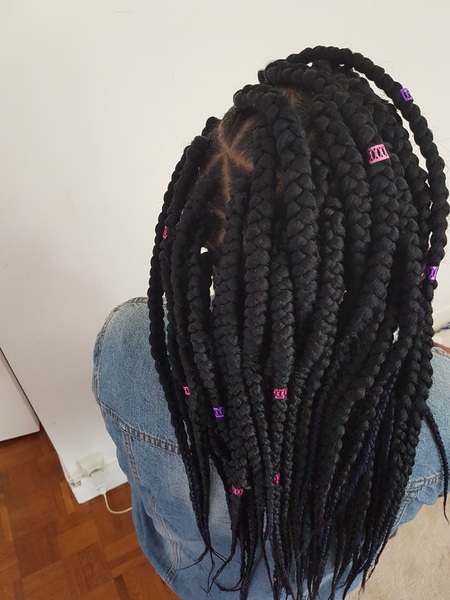 salon de coiffure afro tresse tresses box braids crochet braids vanilles tissages paris 75 77 78 91 92 93 94 95 GTLBRPJL