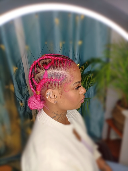 salon de coiffure afro tresse tresses box braids crochet braids vanilles tissages paris 75 77 78 91 92 93 94 95 JATIMDNR