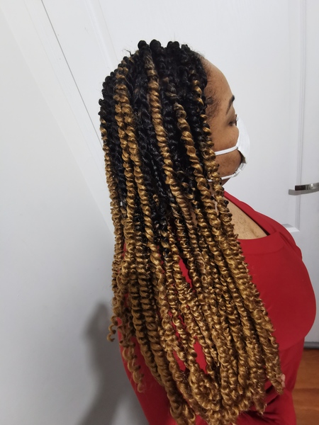 salon de coiffure afro tresse tresses box braids crochet braids vanilles tissages paris 75 77 78 91 92 93 94 95 ETXQUPWH