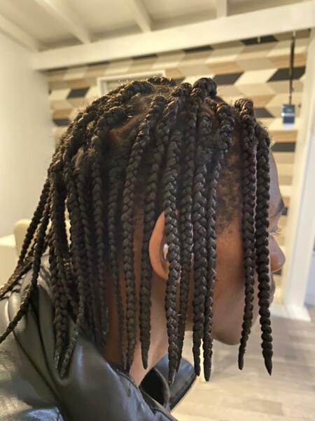 salon de coiffure afro tresse tresses box braids crochet braids vanilles tissages paris 75 77 78 91 92 93 94 95 AHXWFNWJ