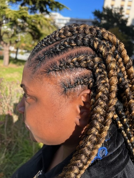 salon de coiffure afro tresse tresses box braids crochet braids vanilles tissages paris 75 77 78 91 92 93 94 95 EXIASQYX