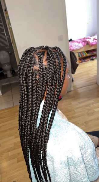salon de coiffure afro tresse tresses box braids crochet braids vanilles tissages paris 75 77 78 91 92 93 94 95 VQDFJRCB