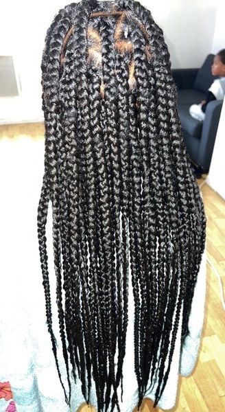 salon de coiffure afro tresse tresses box braids crochet braids vanilles tissages paris 75 77 78 91 92 93 94 95 PFSLYIMJ