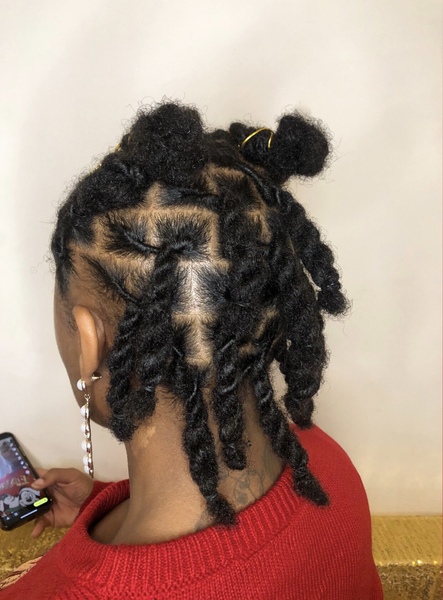 salon de coiffure afro tresse tresses box braids crochet braids vanilles tissages paris 75 77 78 91 92 93 94 95 SQAJYMRF