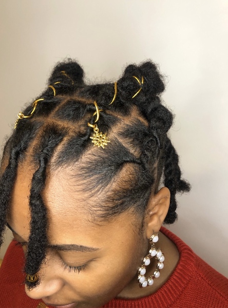 salon de coiffure afro tresse tresses box braids crochet braids vanilles tissages paris 75 77 78 91 92 93 94 95 GXXFNNHB