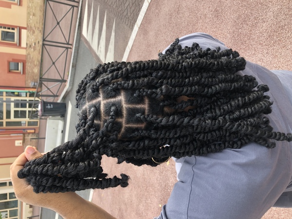 salon de coiffure afro tresse tresses box braids crochet braids vanilles tissages paris 75 77 78 91 92 93 94 95 JUSGLXVH