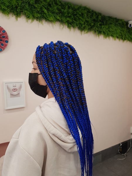 salon de coiffure afro tresse tresses box braids crochet braids vanilles tissages paris 75 77 78 91 92 93 94 95 BPEUCQAY