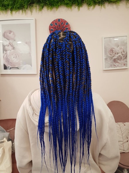 salon de coiffure afro tresse tresses box braids crochet braids vanilles tissages paris 75 77 78 91 92 93 94 95 OVFDTKIN