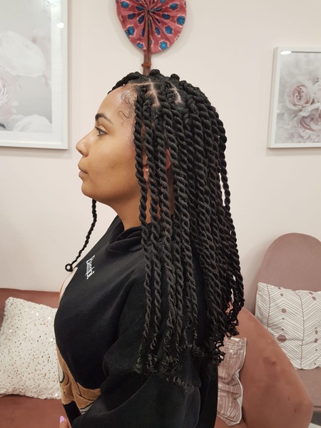 salon de coiffure afro tresse tresses box braids crochet braids vanilles tissages paris 75 77 78 91 92 93 94 95 BSBXISCC