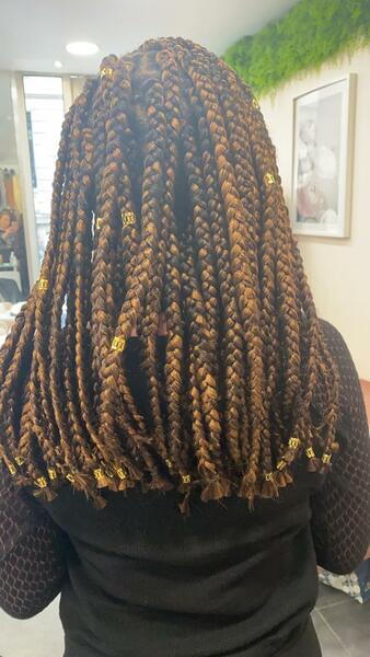 salon de coiffure afro tresse tresses box braids crochet braids vanilles tissages paris 75 77 78 91 92 93 94 95 KQFEWDFN